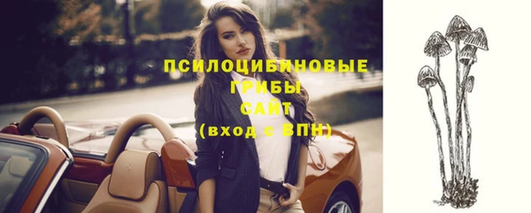 трава Балахна
