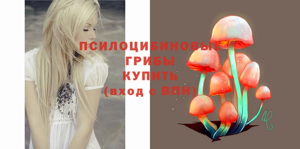 скорость Баксан