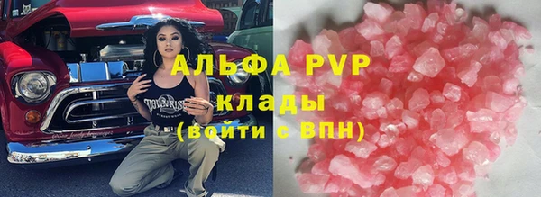 шишки Арсеньев