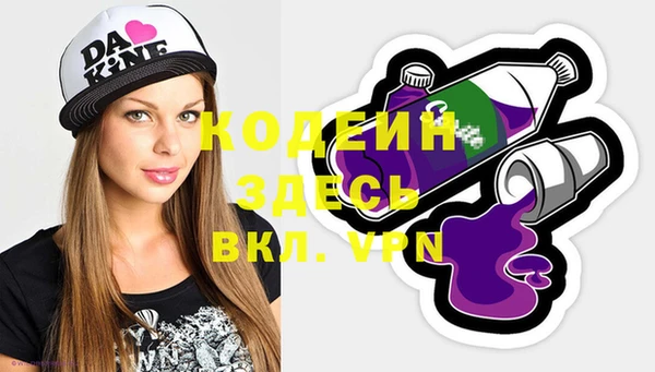 шишки Арсеньев