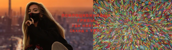 шишки Арсеньев