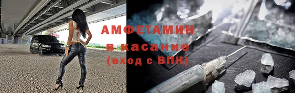 шишки Арсеньев
